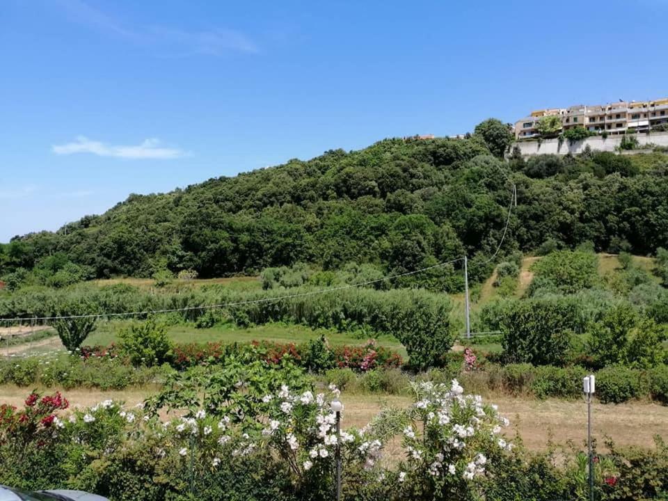 Zio Tonino Bed & Breakfast Termoli Exterior photo